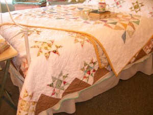 bella blossoms and chintz 1