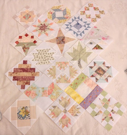 sylvia week 6 all blocks