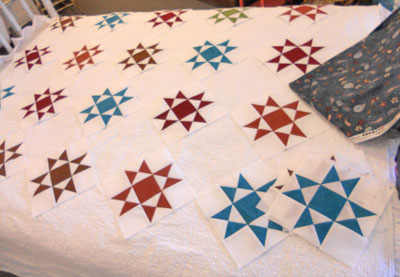 bella cherry blossoms