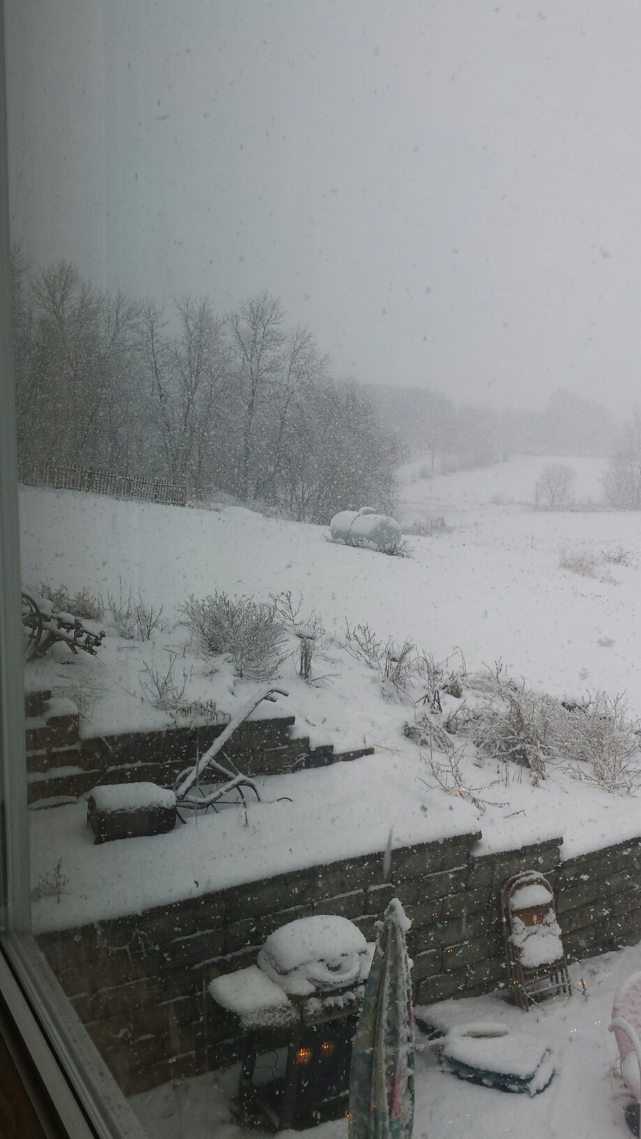 20151216_130519.jpg image