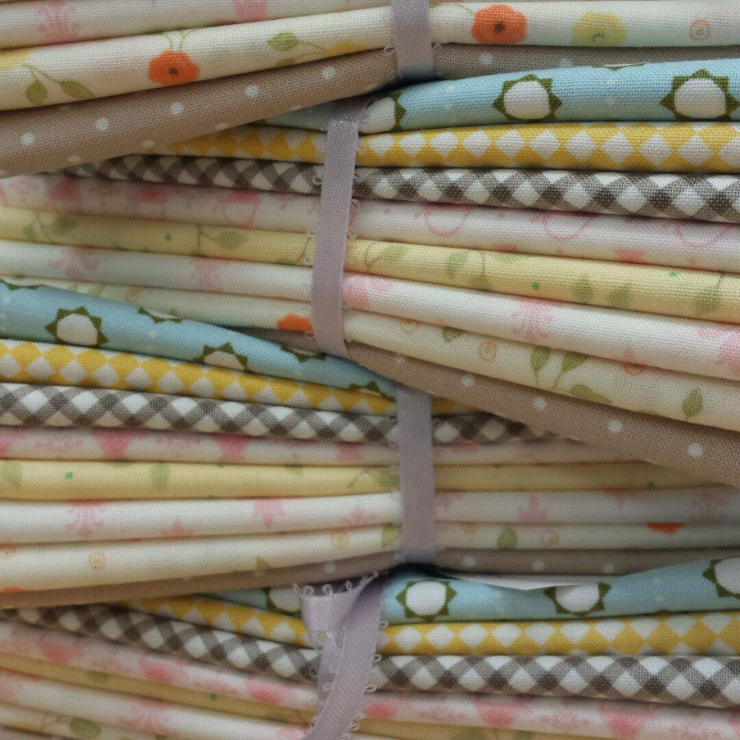 wp-1461455714517 image